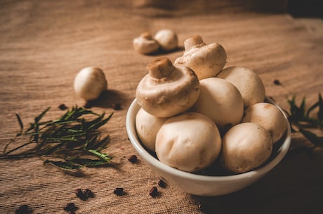 超详细的蘑菇的做法，让你轻松学会口感绝佳的蘑菇菜肴