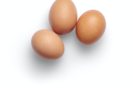 醪糟鸡蛋——独具风味的美食