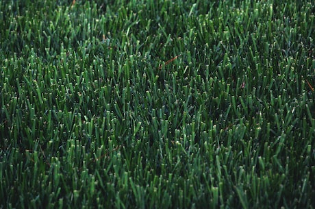 人工草坪：绿色环保的美丽选择
