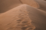 探秘中国沙漠公园的魅力