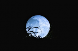 dark moon(深邃神秘的Dark Moon)