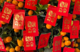 chinese new year(2021年中国春节庆典：迎接新年的到来)