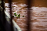 河南洪水：大雨持续