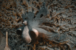檀香木——经典材料的不朽传奇